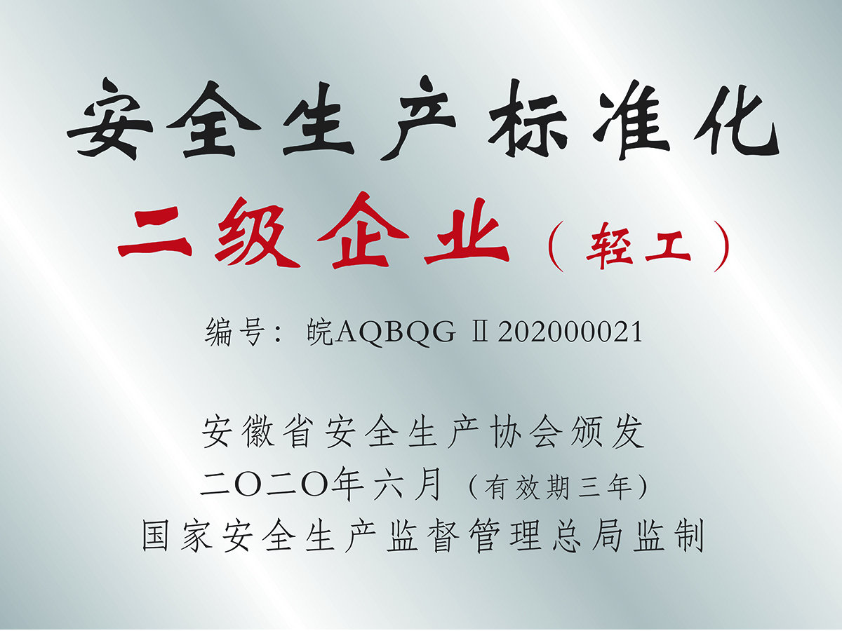 安全生產標準化二級企業